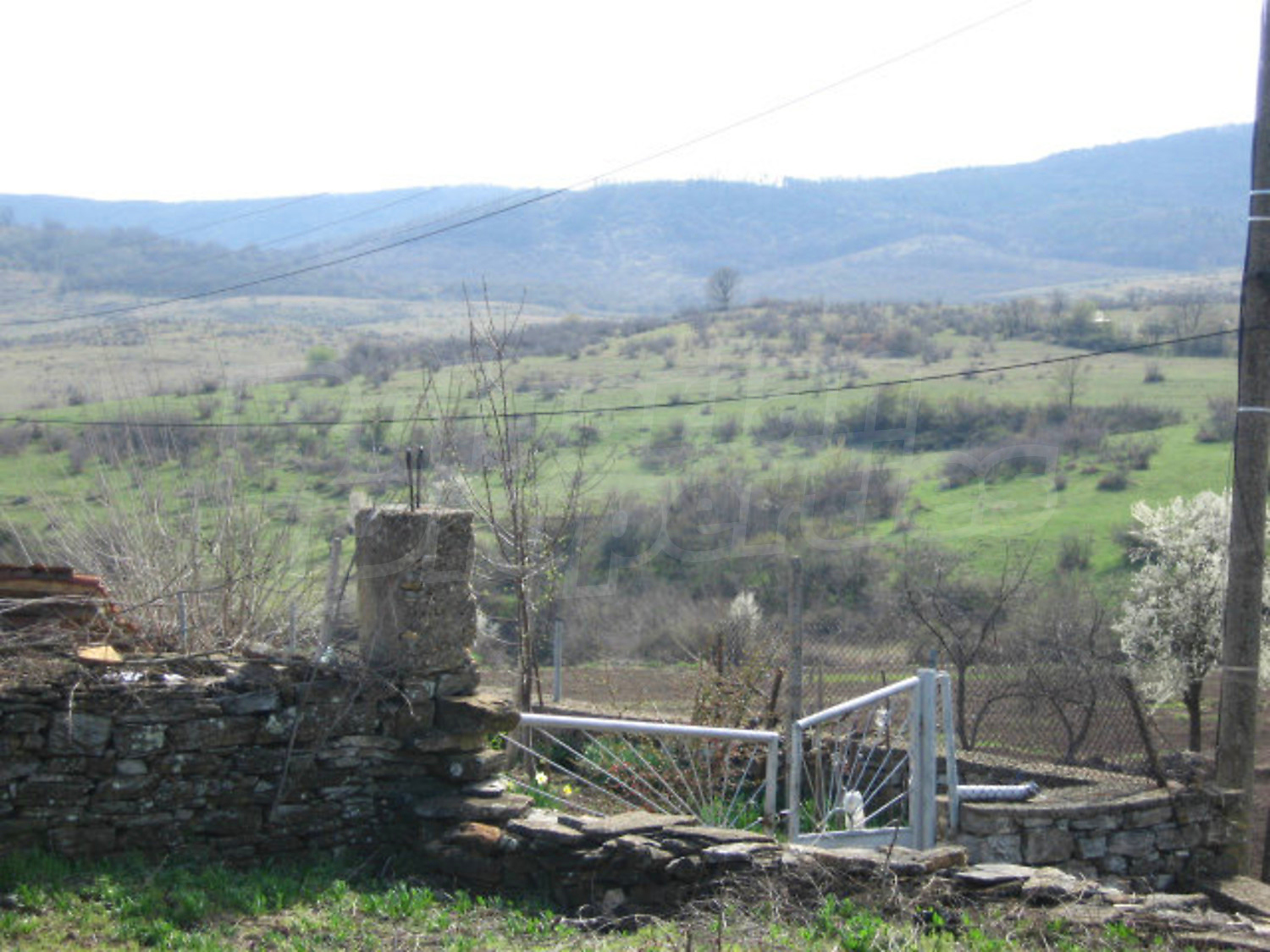 Gallery Picture 7