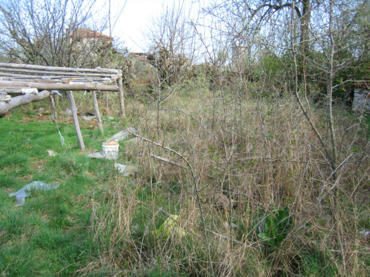 Gallery Picture 25