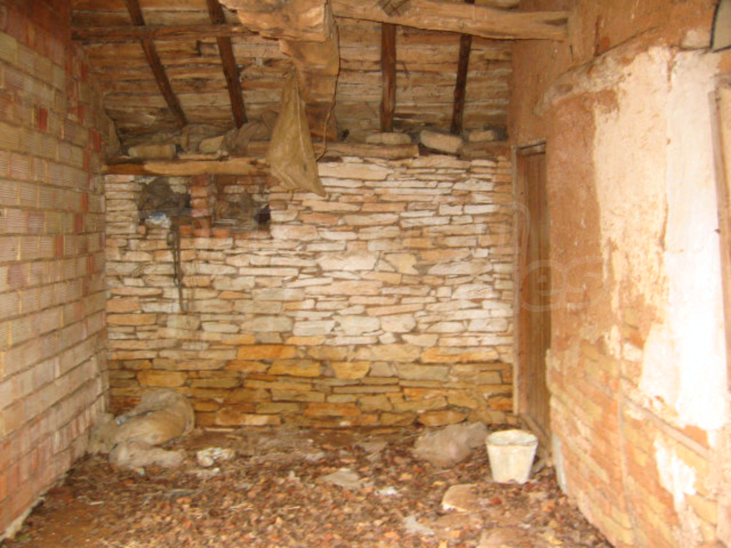 Gallery Picture 26