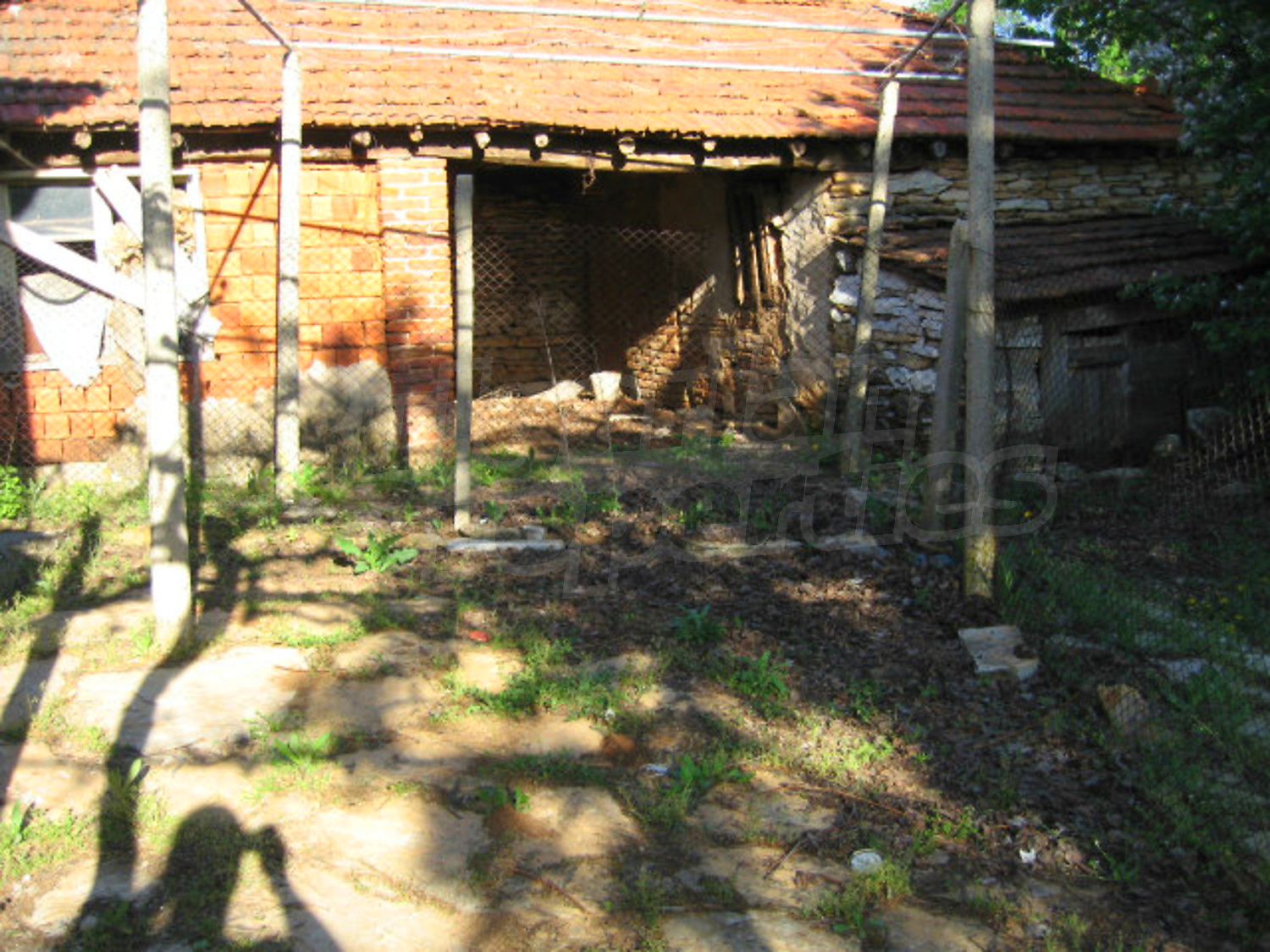 Gallery Picture 33
