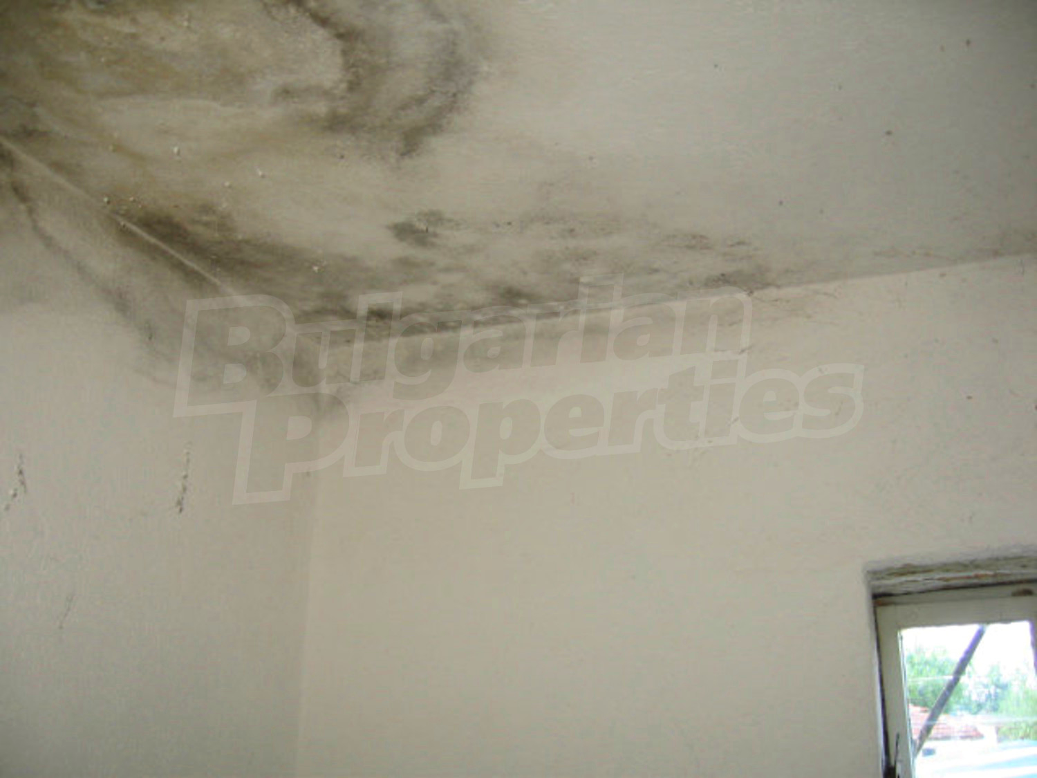 Gallery Picture 35