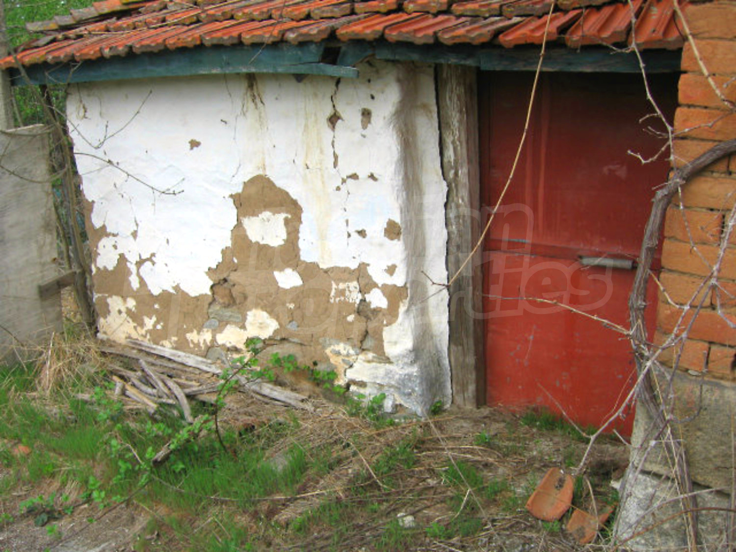 Gallery Picture 15