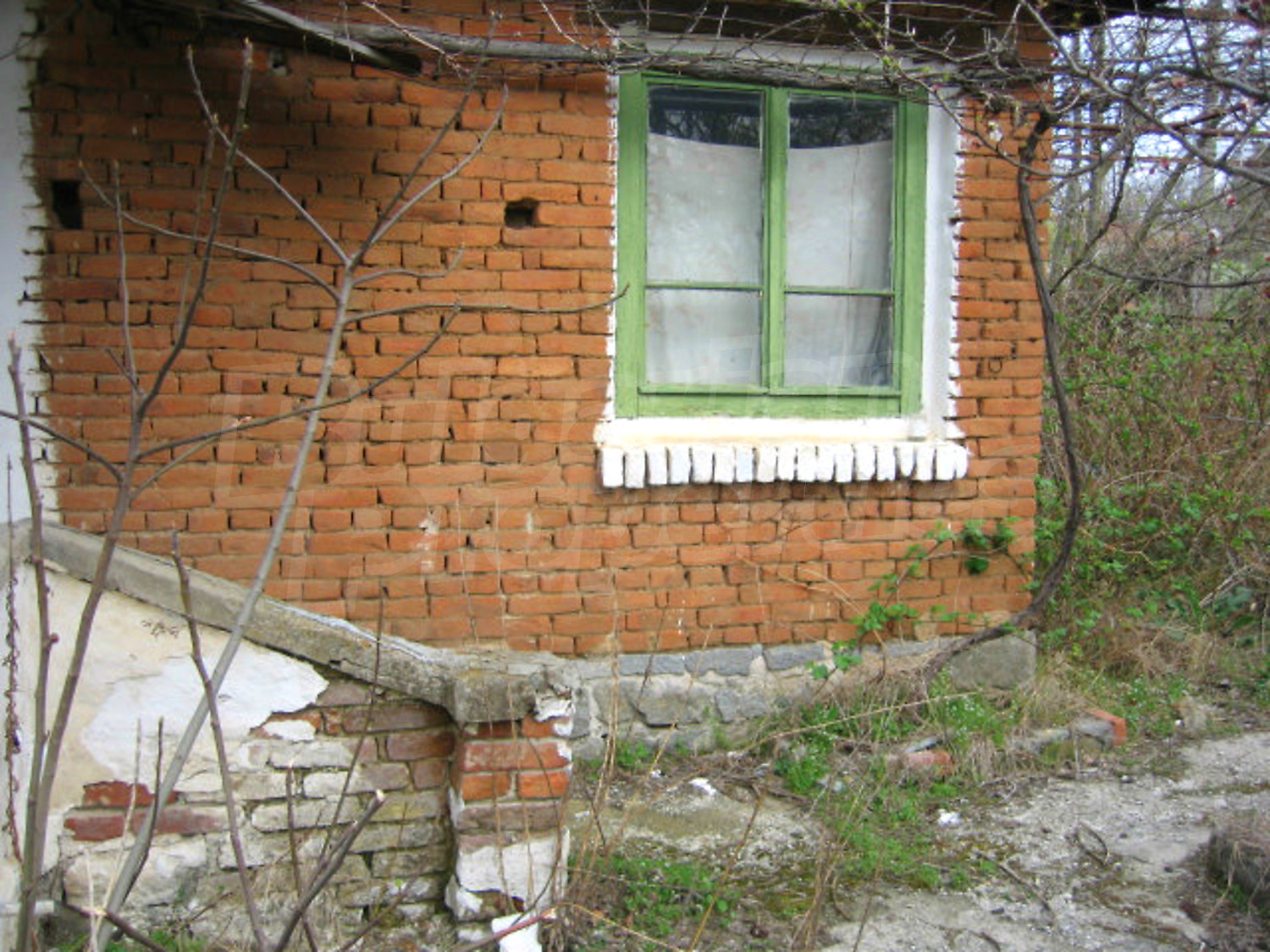 Gallery Picture 9