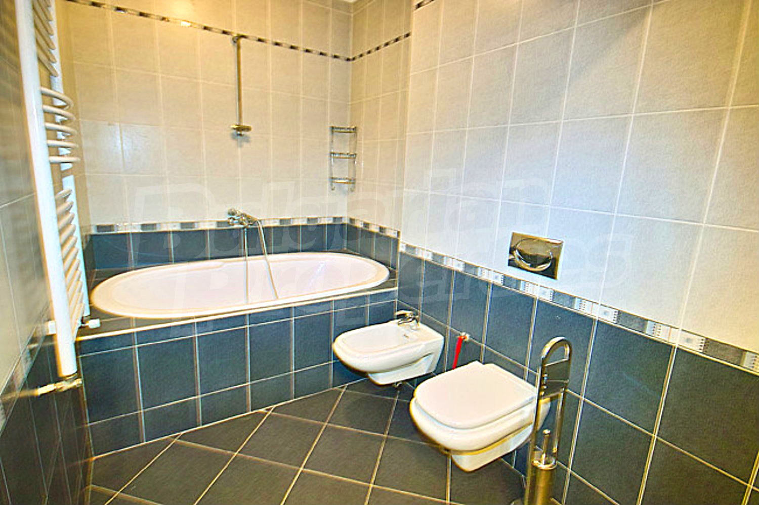Gallery Picture 27
