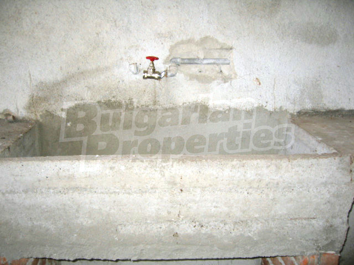 Gallery Picture 19