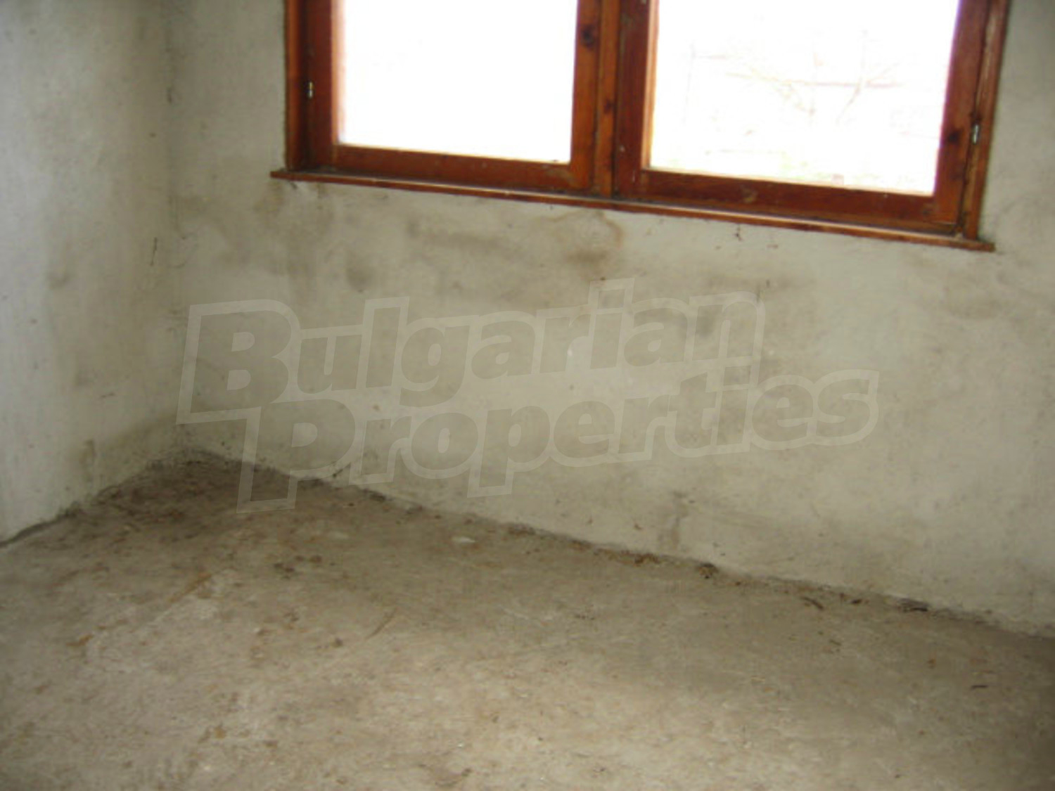 Gallery Picture 20