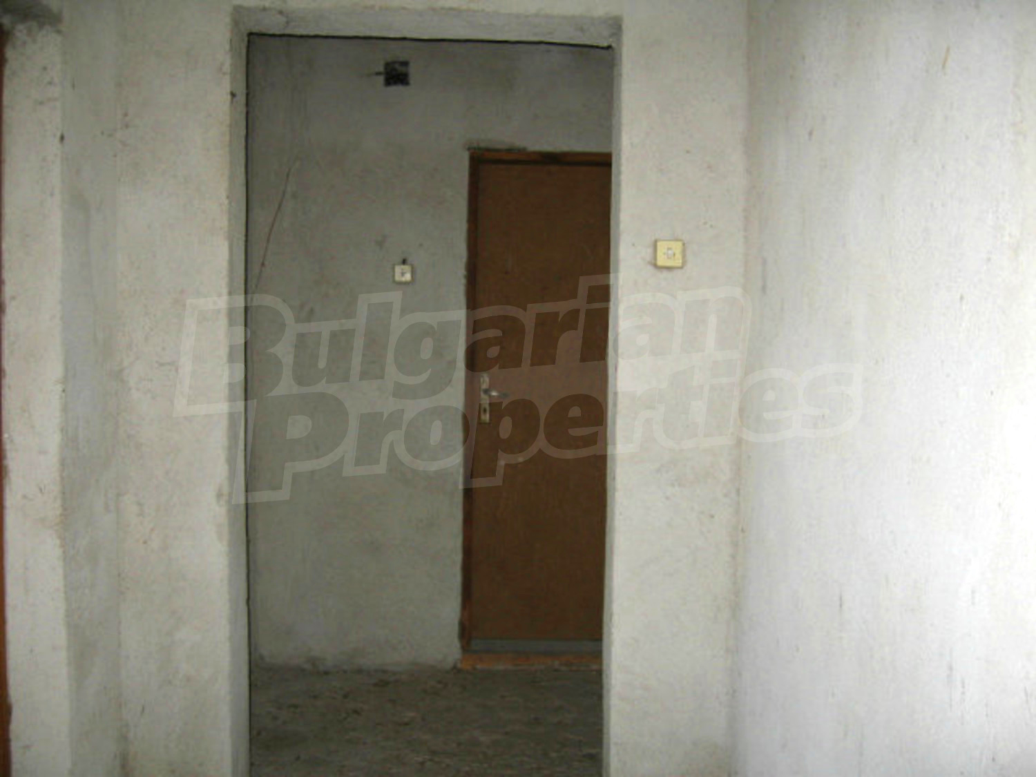 Gallery Picture 23