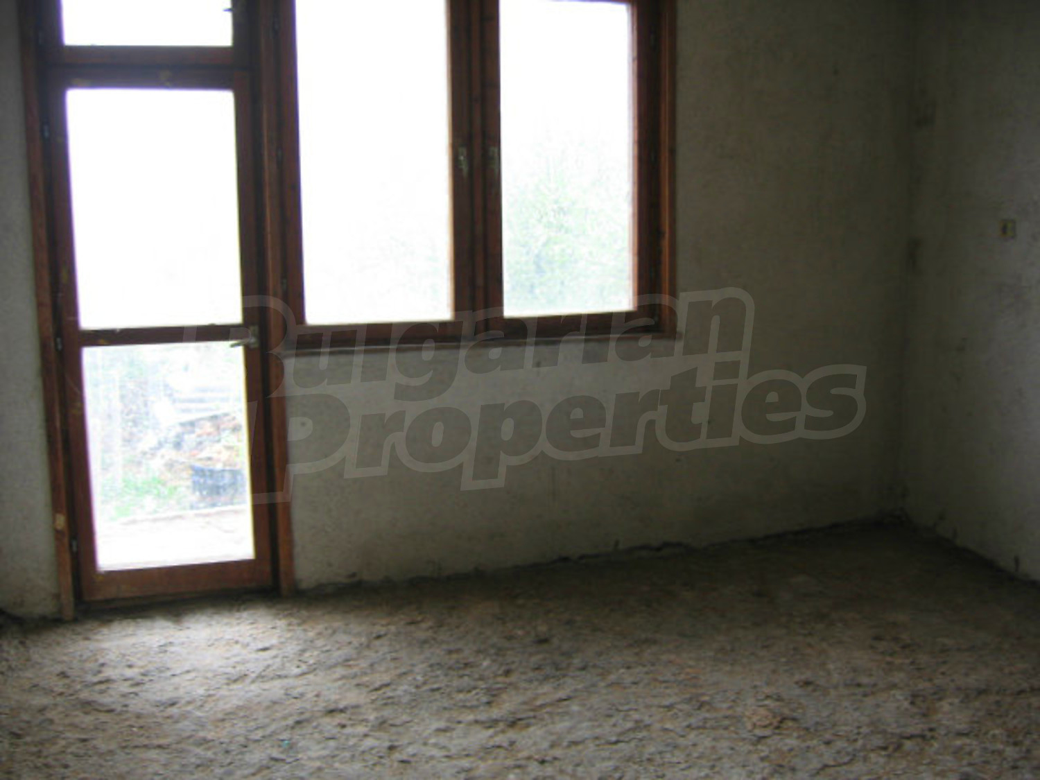 Gallery Picture 26