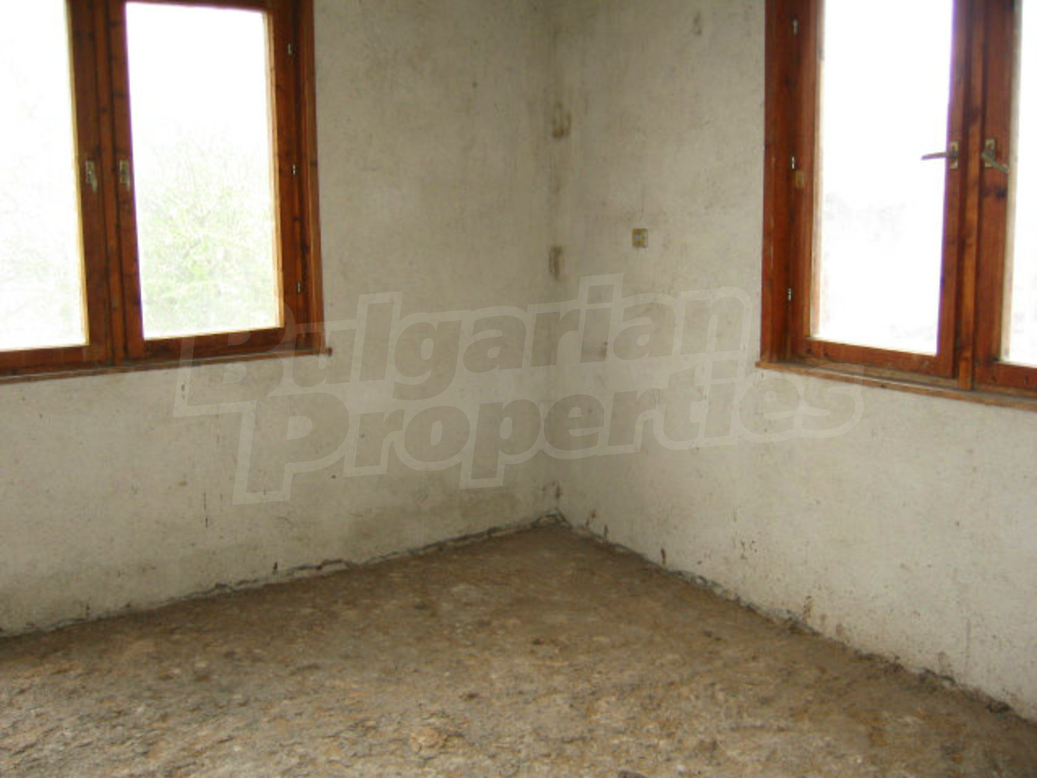 Gallery Picture 27