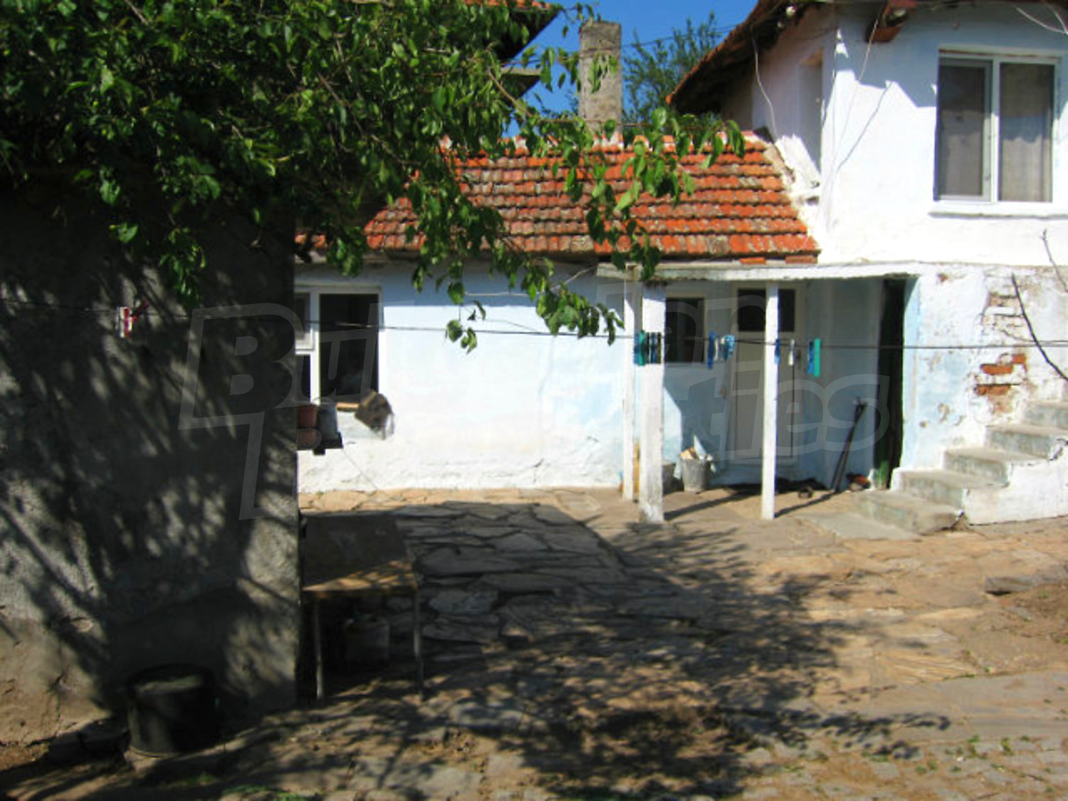 Gallery Picture 36