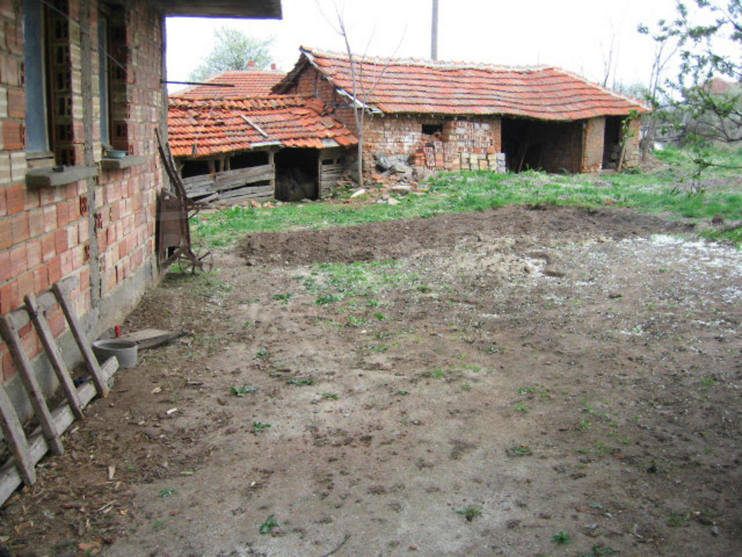 Gallery Picture 9