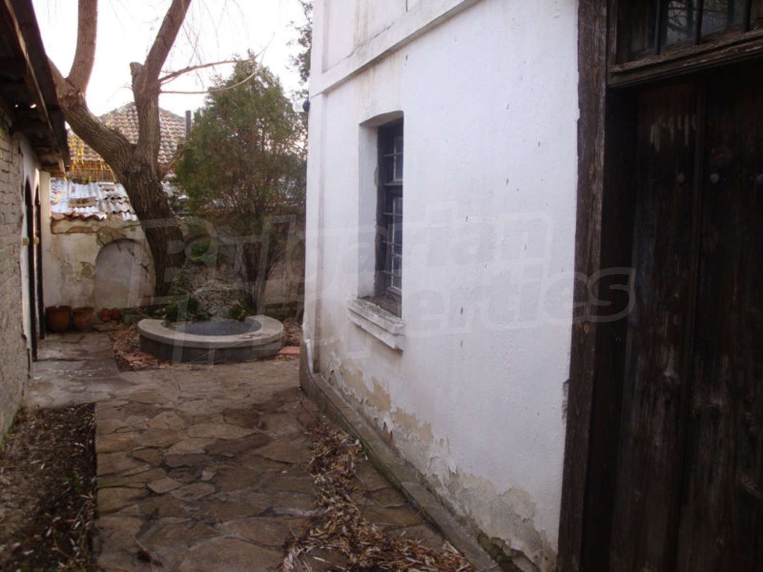 Gallery Picture 19