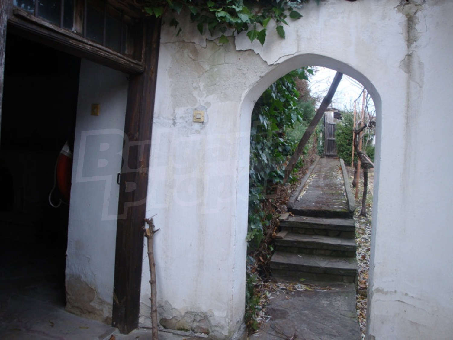 Gallery Picture 20