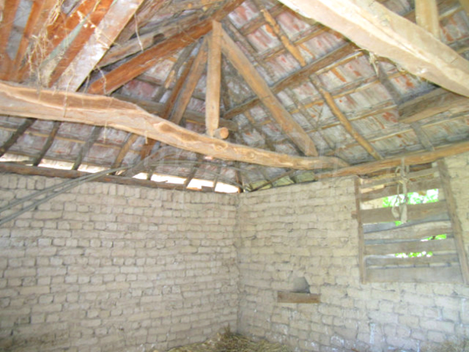 Gallery Picture 18