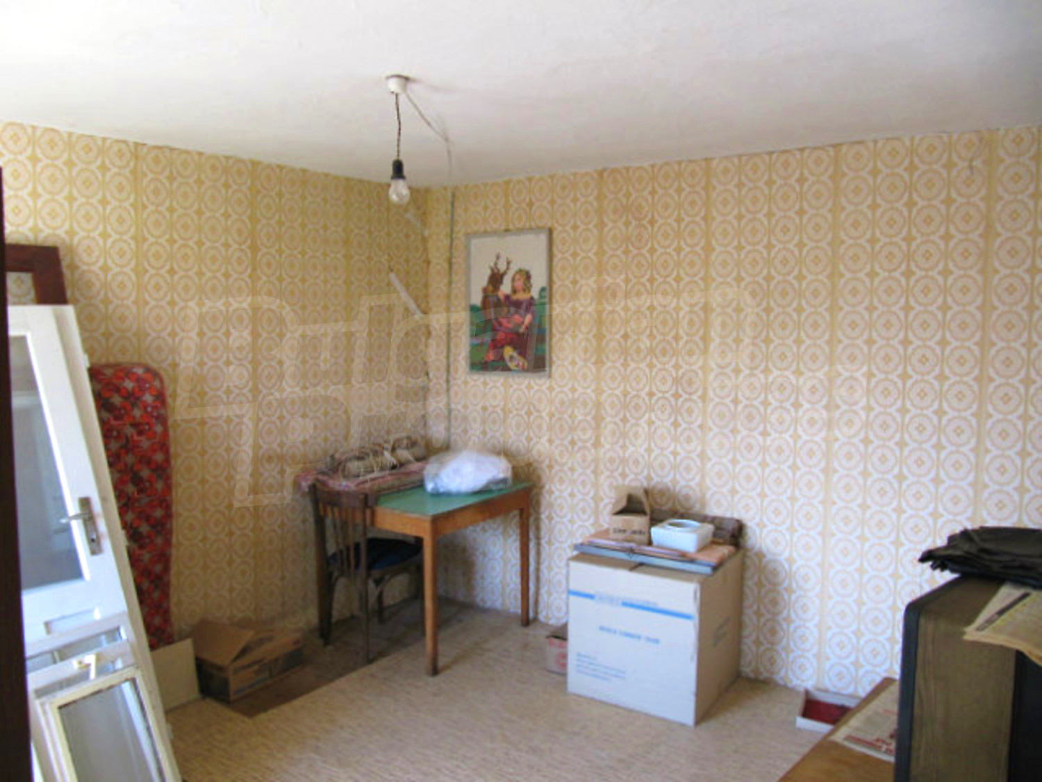 Gallery Picture 27