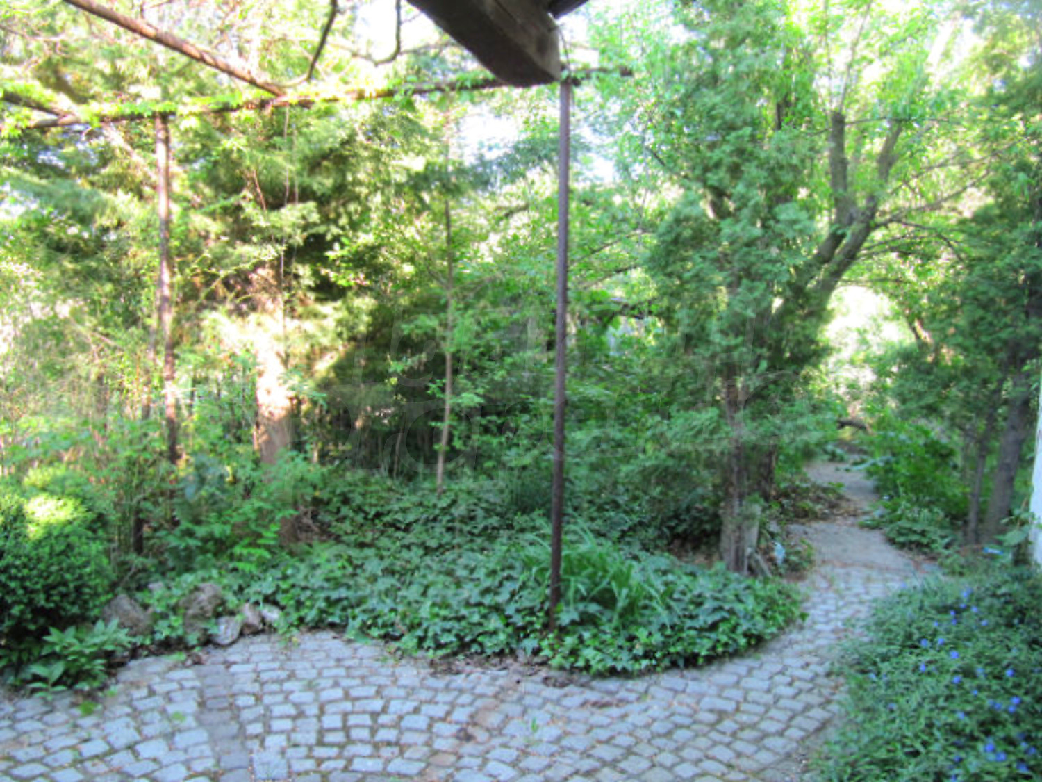 Gallery Picture 18