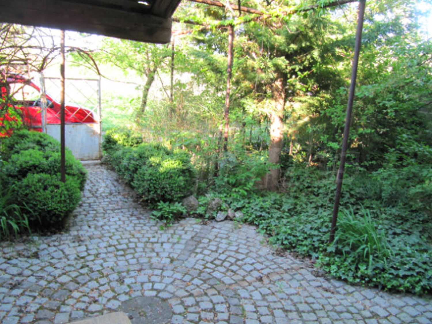 Gallery Picture 19