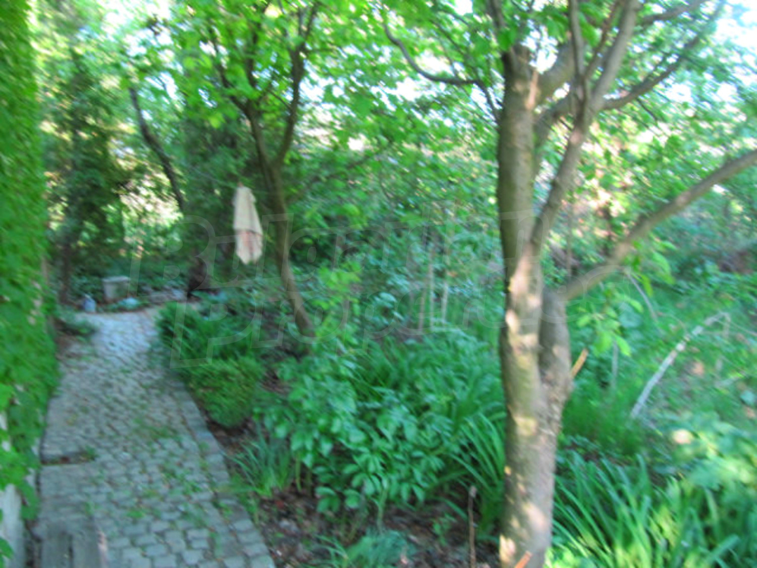 Gallery Picture 23