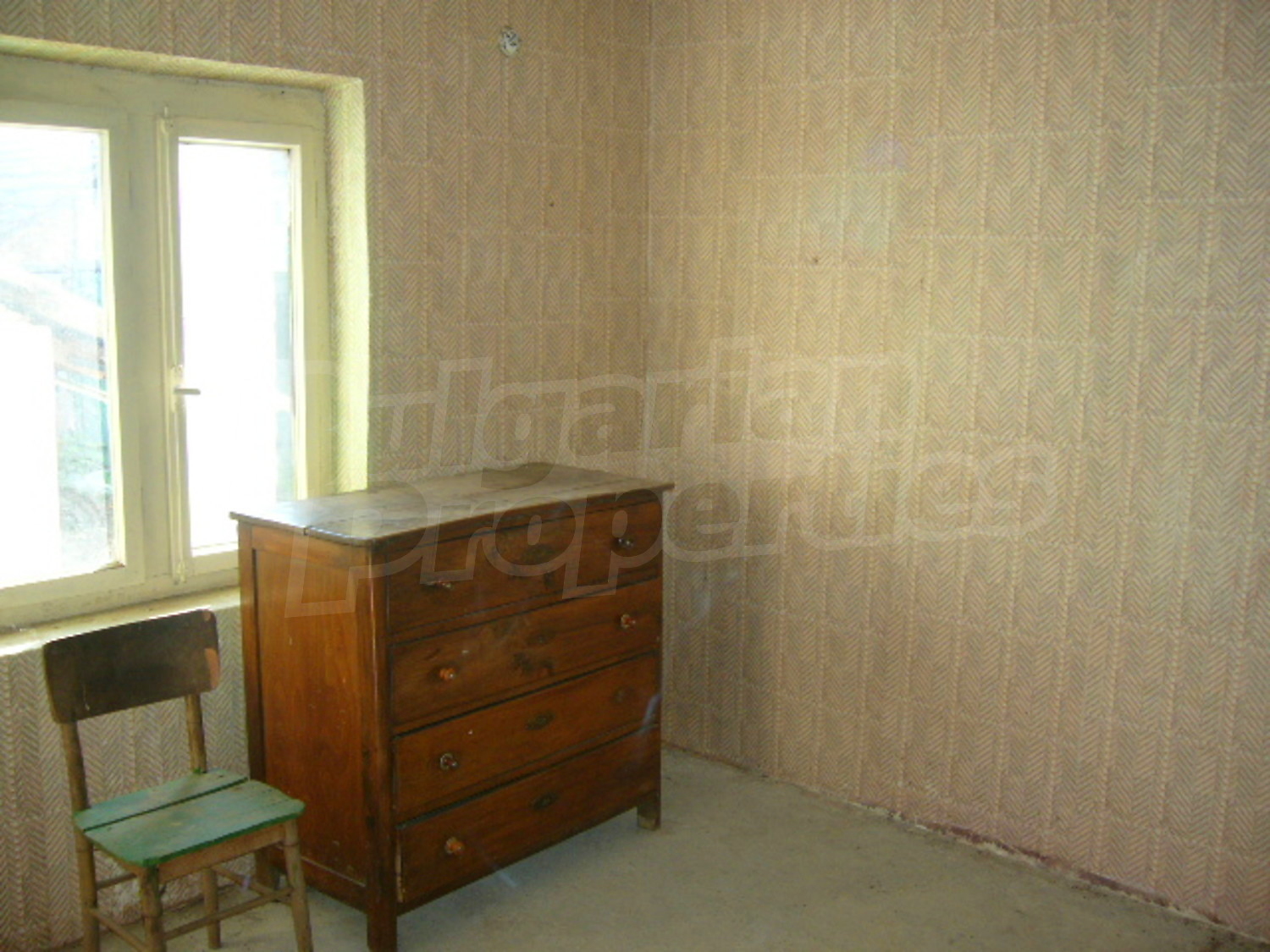 Gallery Picture 17