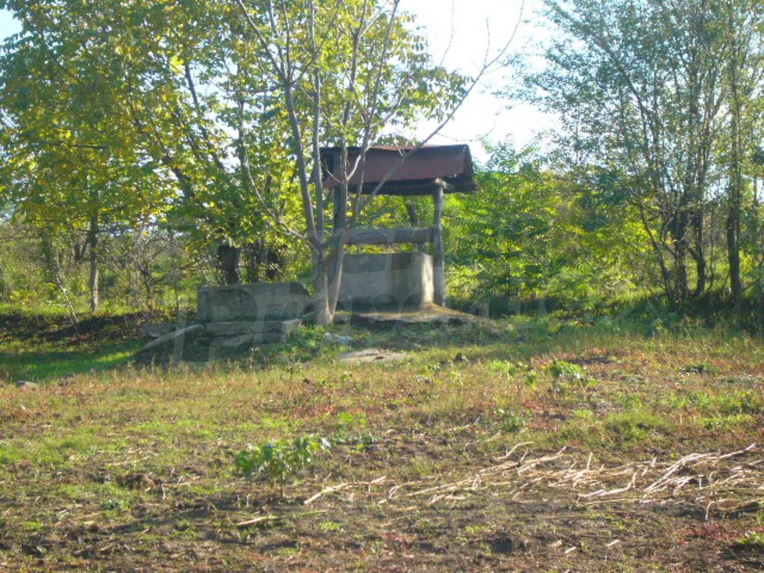 Gallery Picture 23