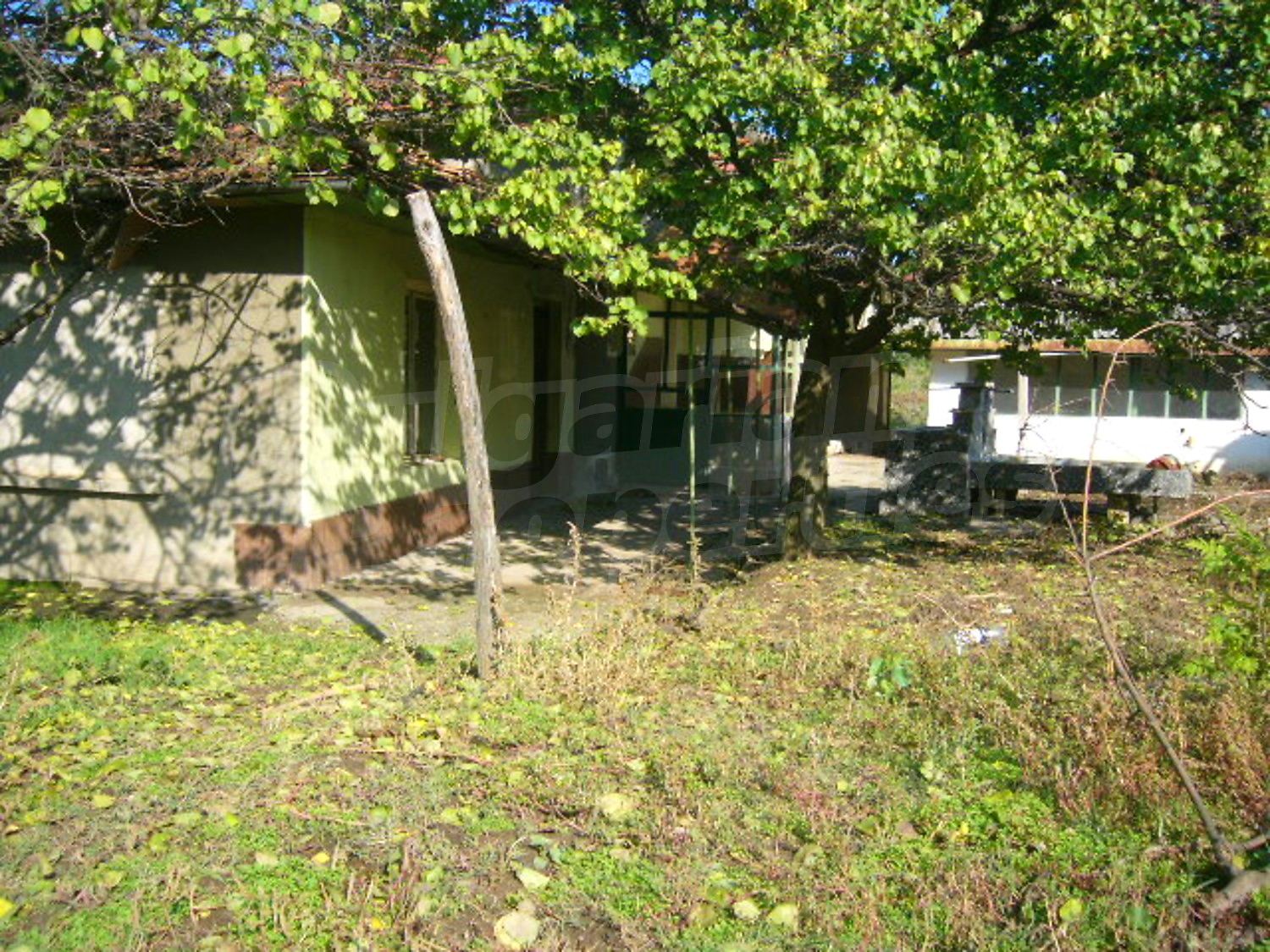 Gallery Picture 28