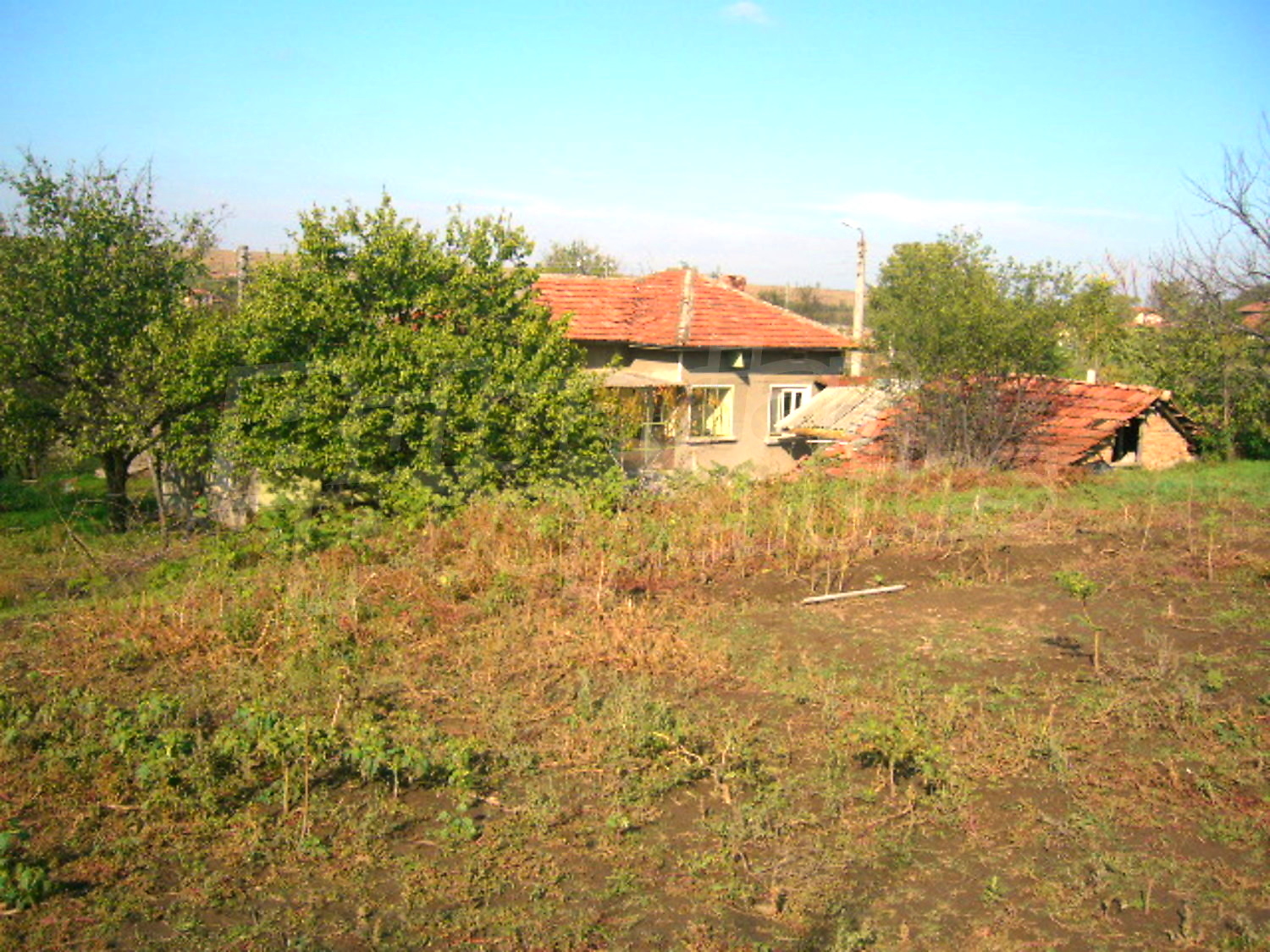 Gallery Picture 31