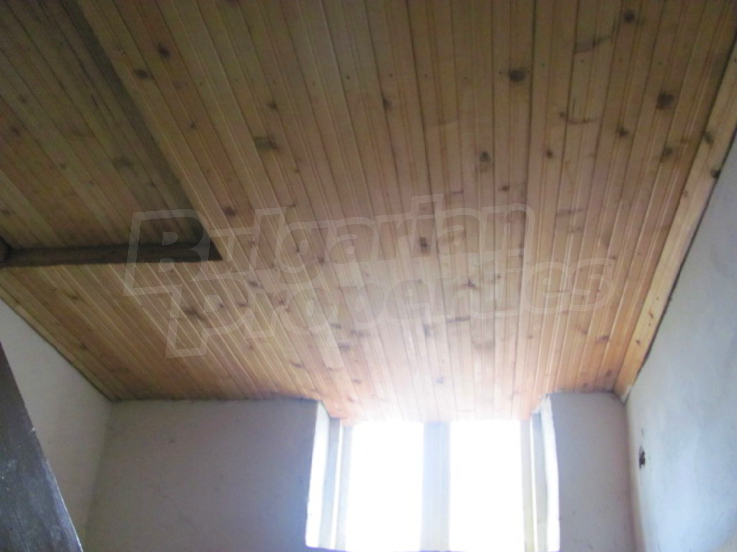 Gallery Picture 15
