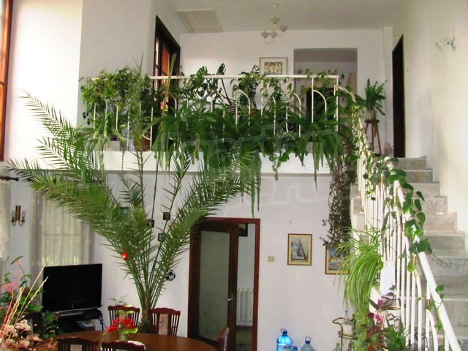 Gallery Picture 19