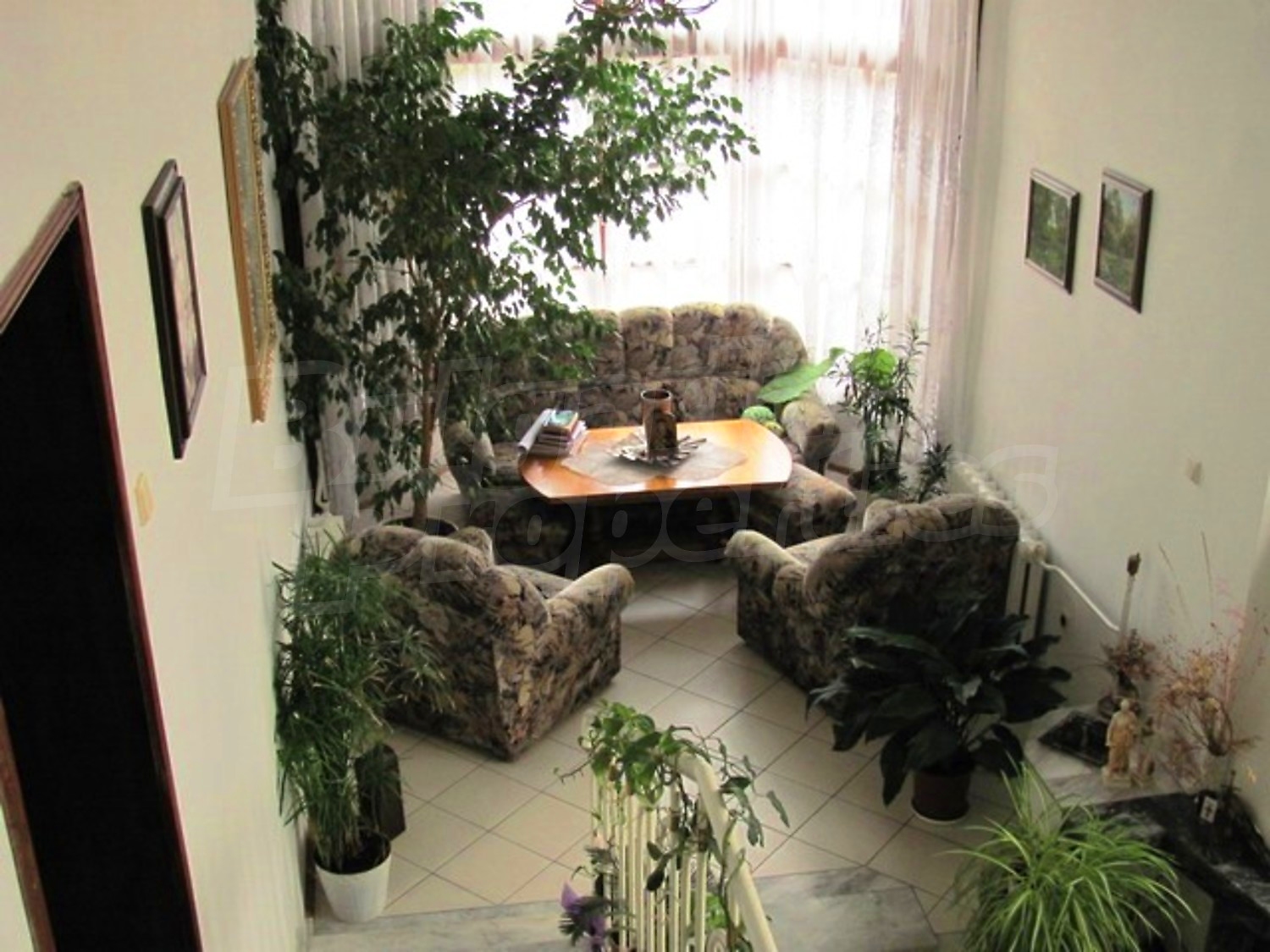 Gallery Picture 22