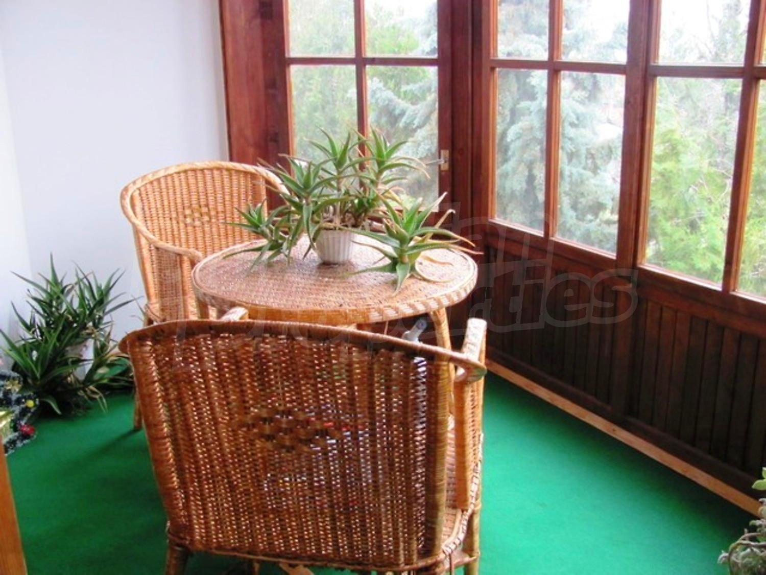 Gallery Picture 23