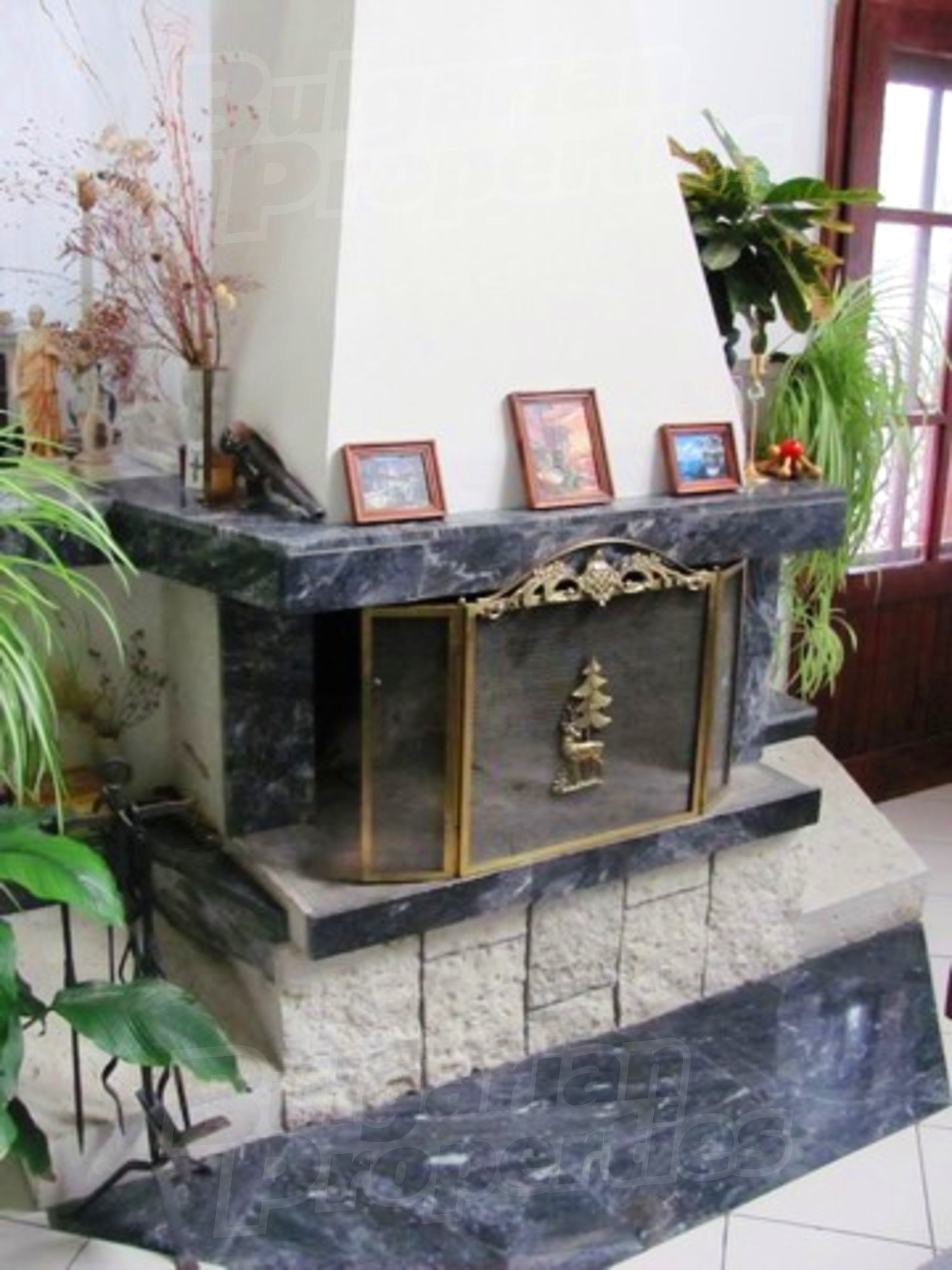 Gallery Picture 28