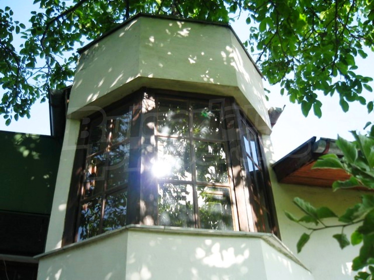 Gallery Picture 5