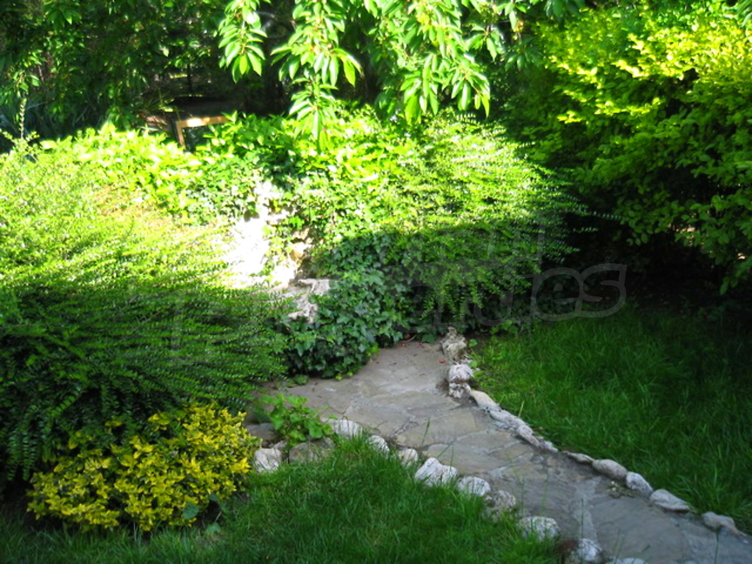Gallery Picture 9
