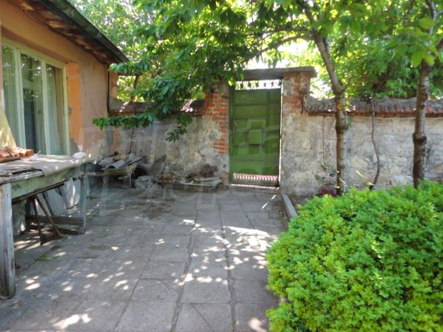 Gallery Picture 23
