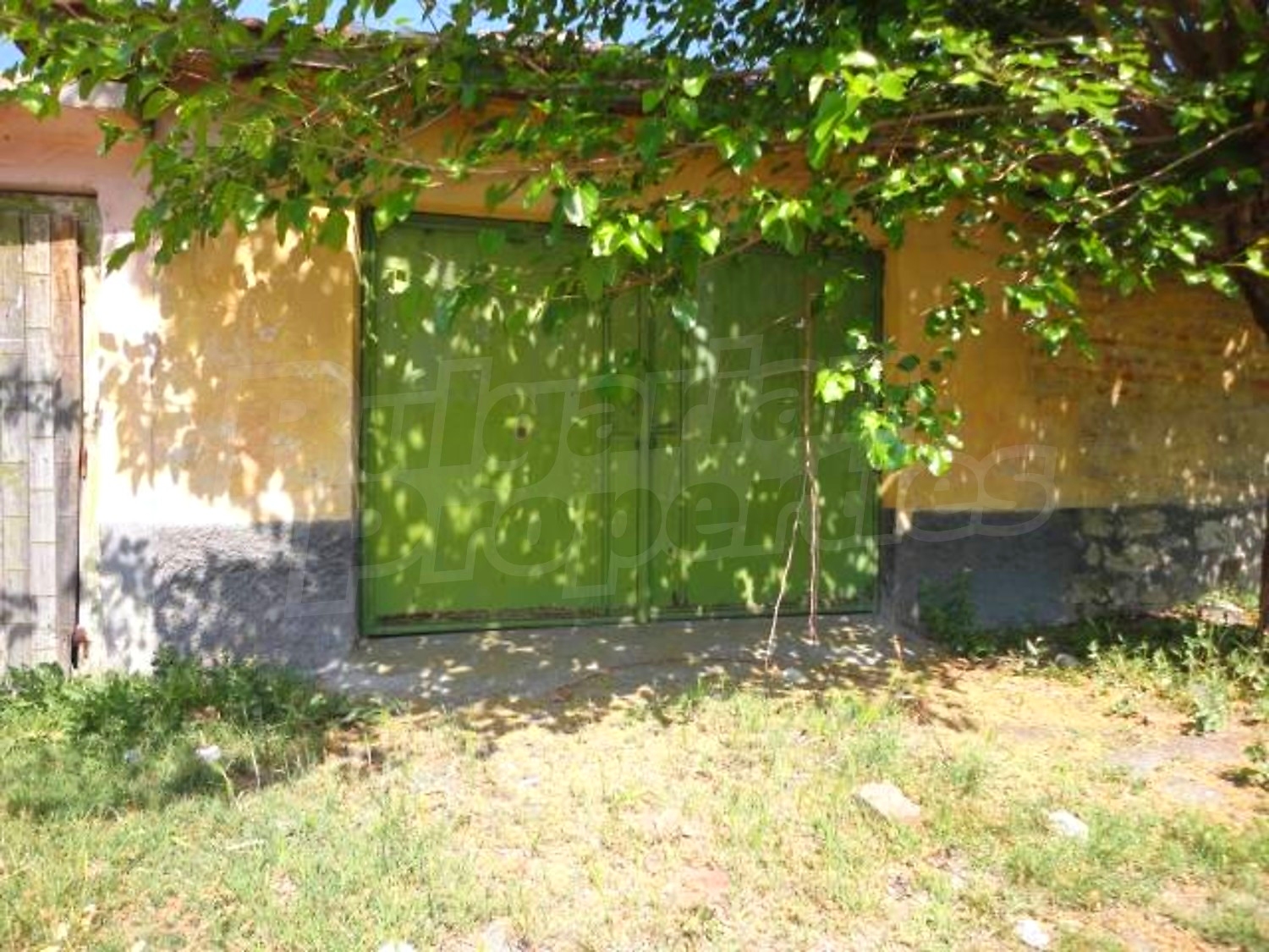 Gallery Picture 26