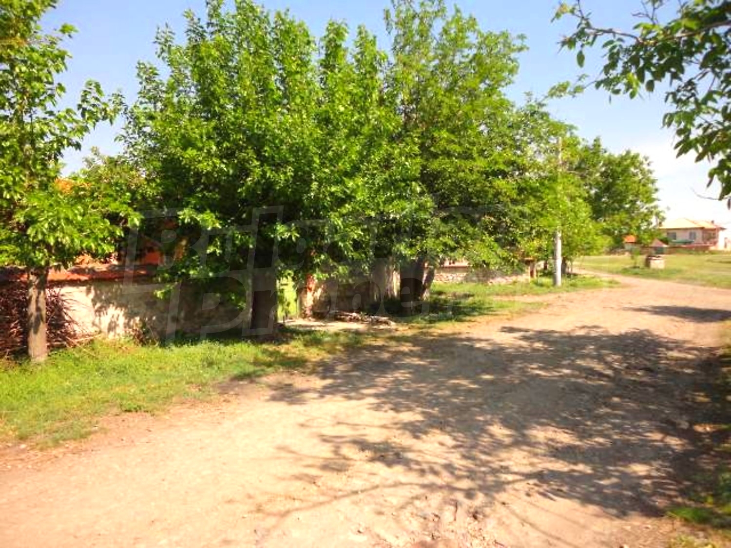 Gallery Picture 27