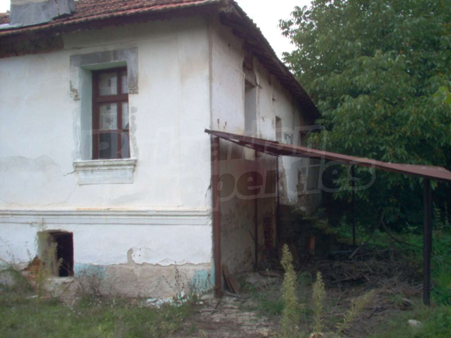 Gallery Picture 10