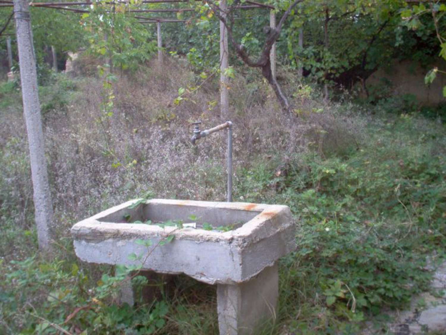Gallery Picture 14