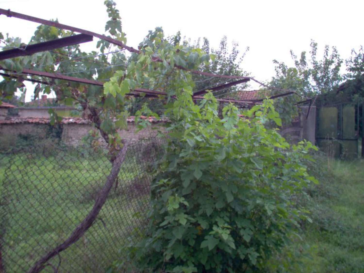 Gallery Picture 16
