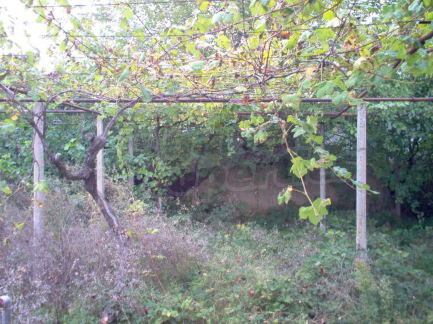 Gallery Picture 17