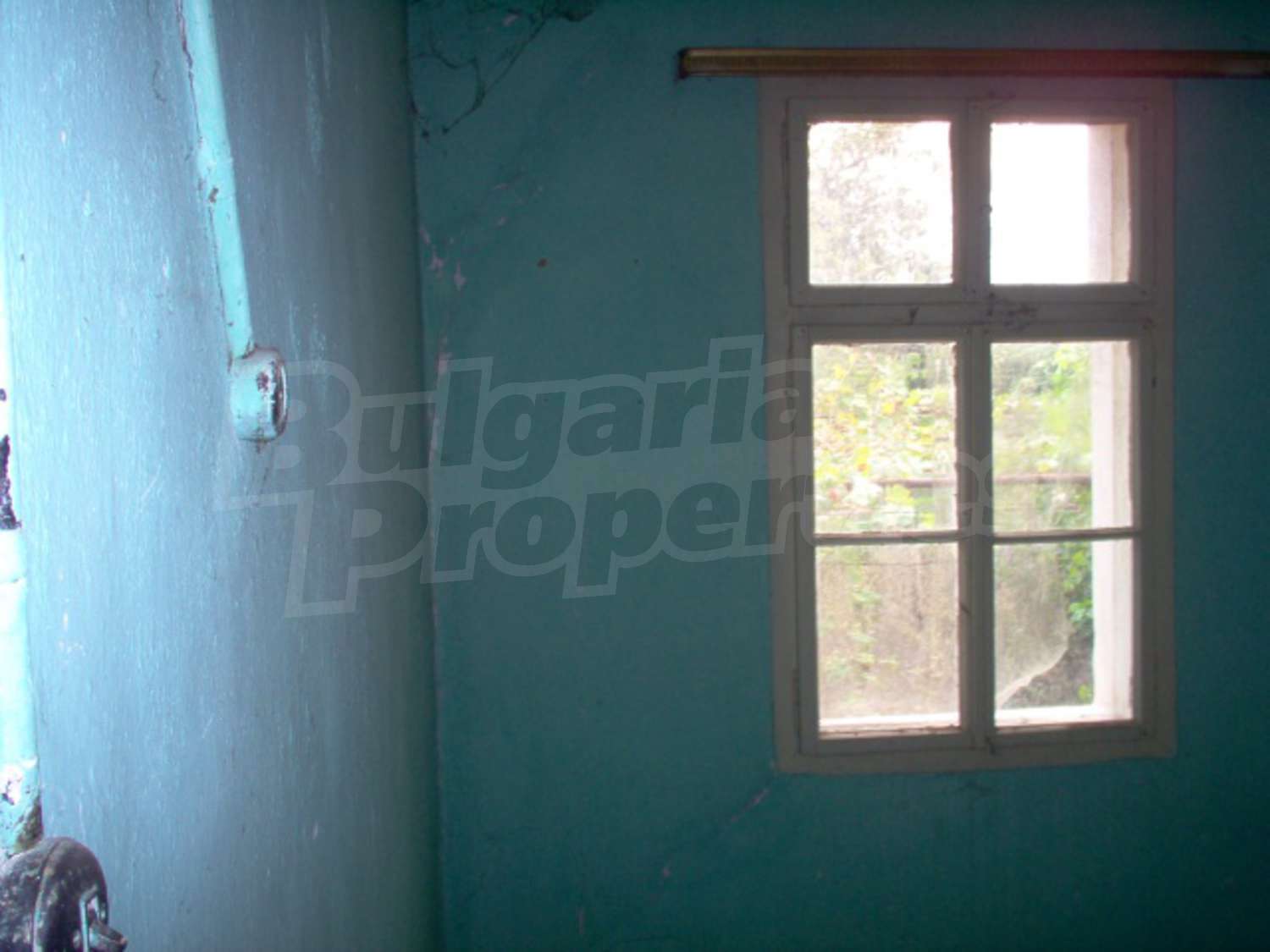 Gallery Picture 6