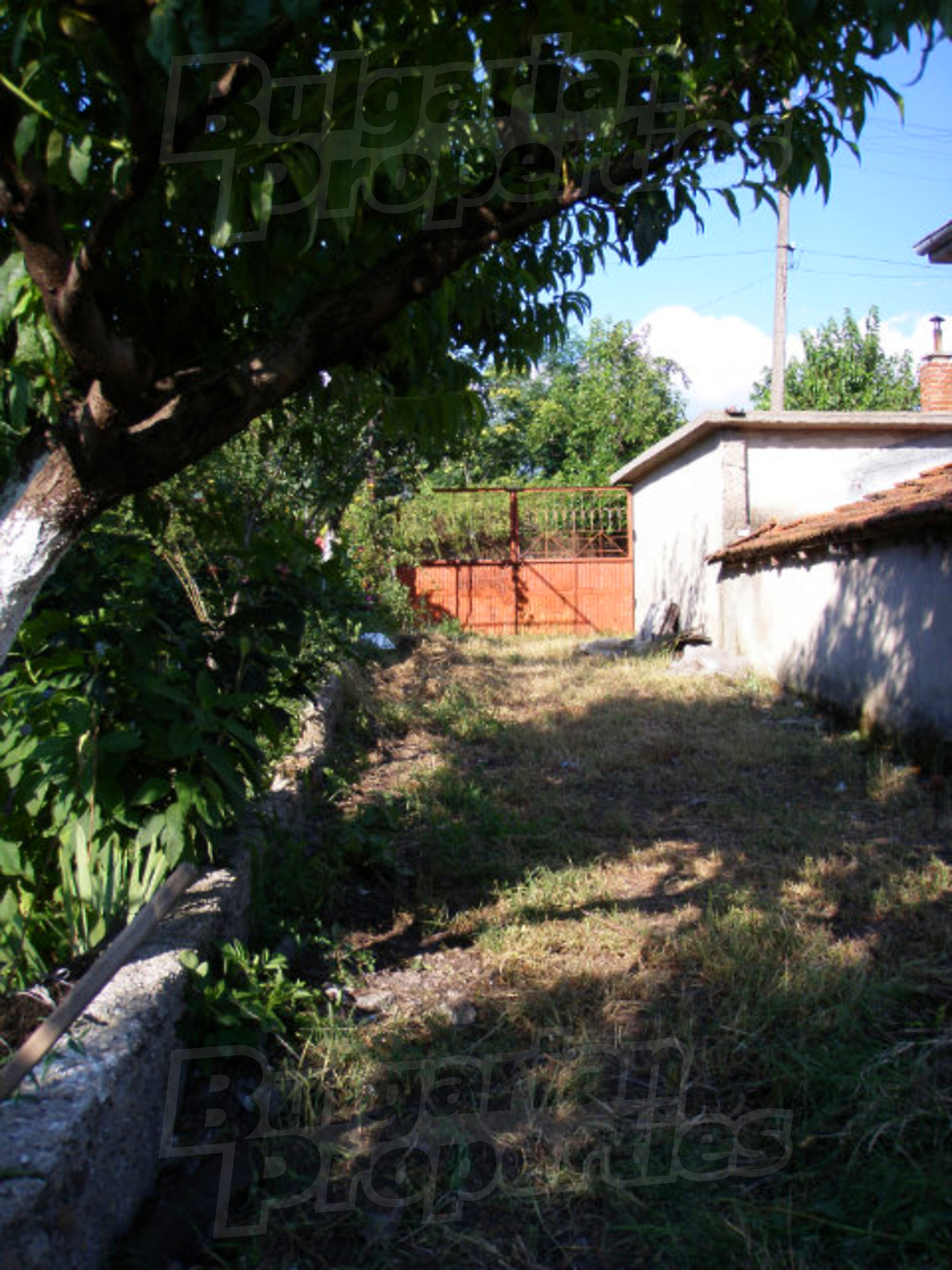 Gallery Picture 13