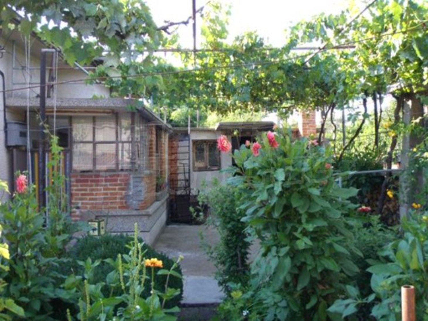 Gallery Picture 18