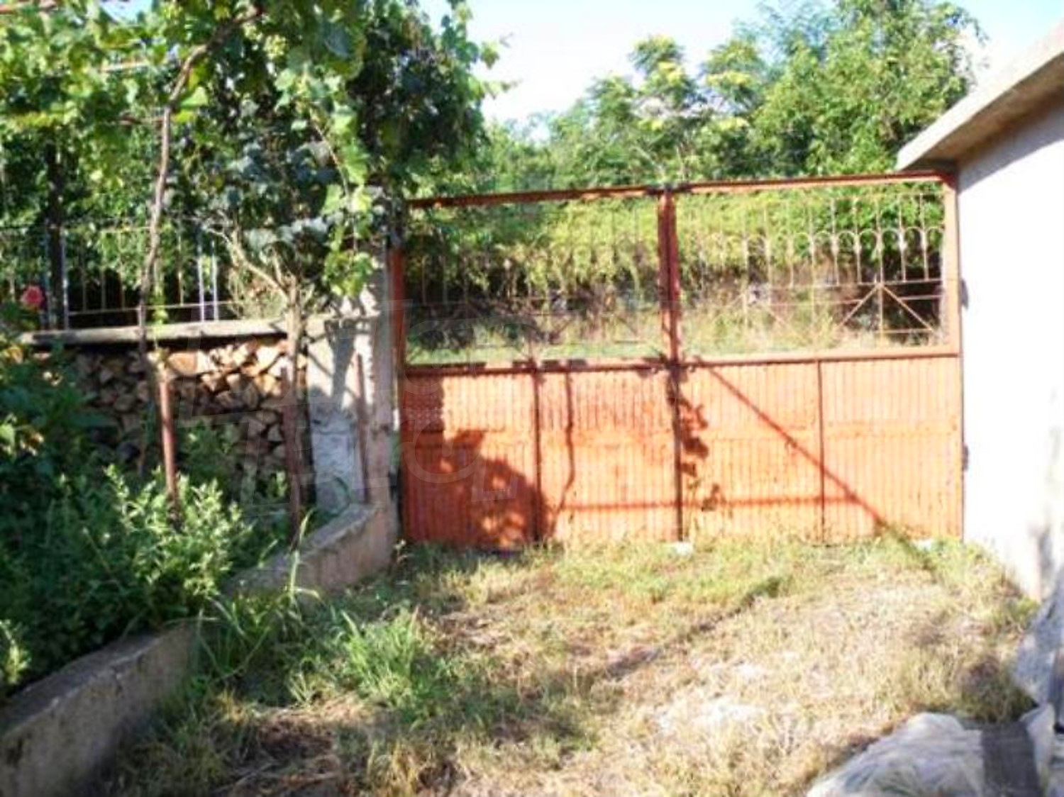 Gallery Picture 19