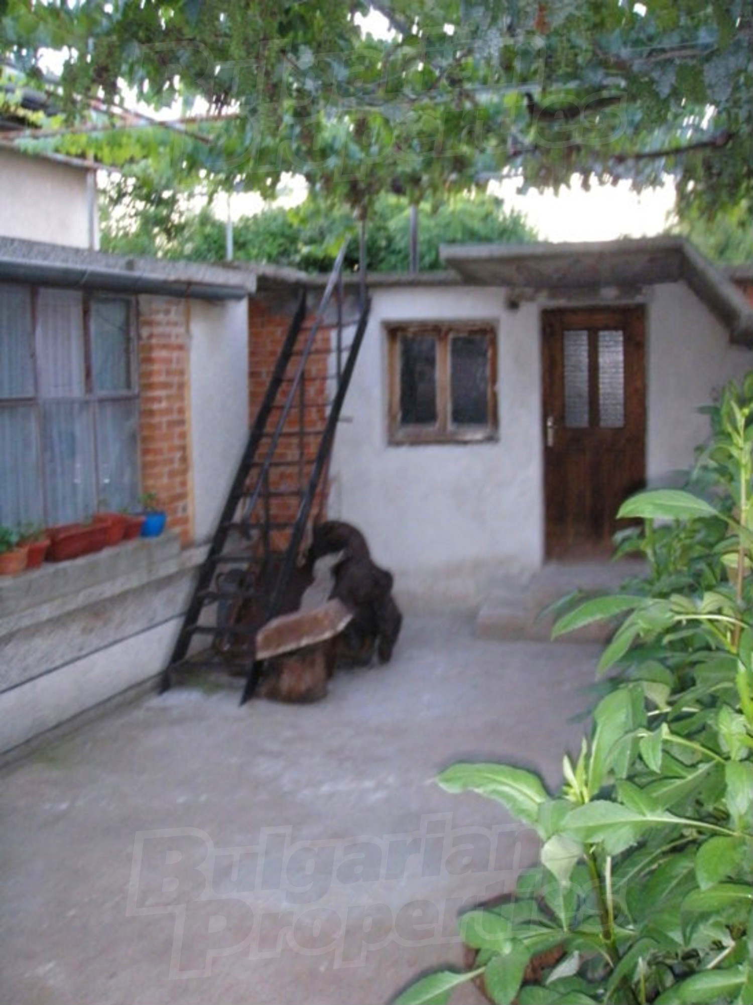 Gallery Picture 37