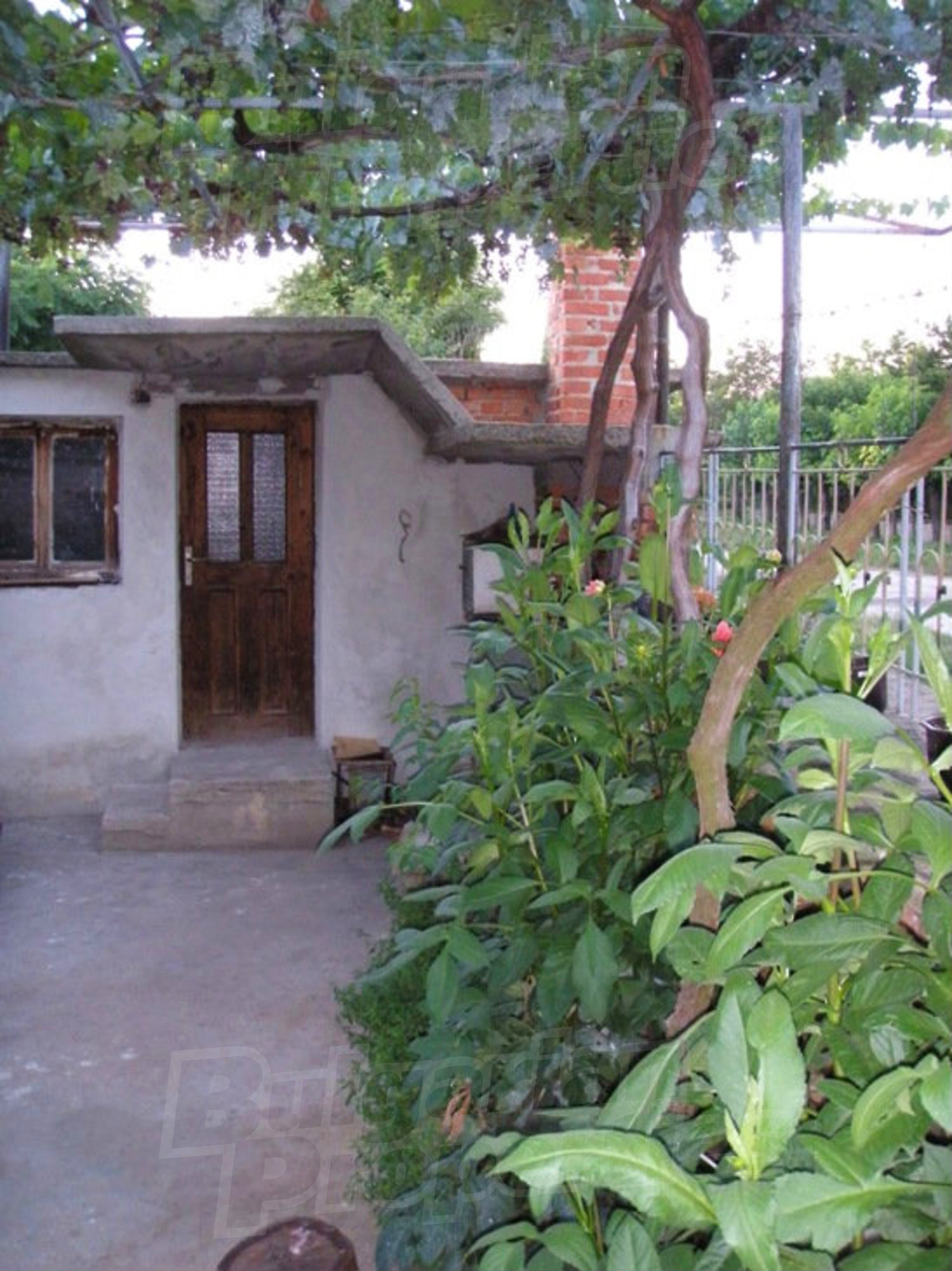 Gallery Picture 38