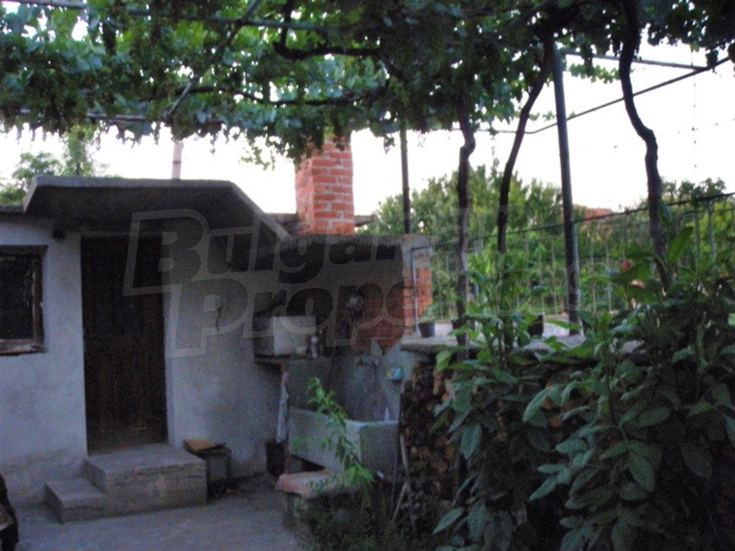 Gallery Picture 46