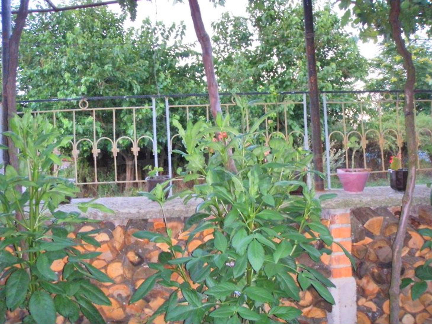 Gallery Picture 48