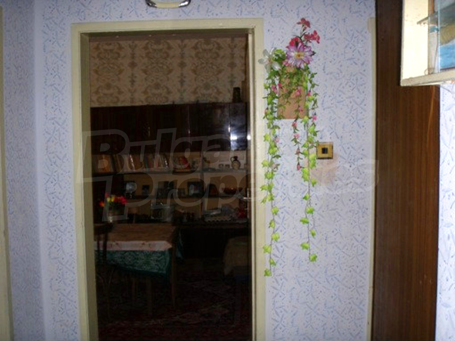 Gallery Picture 5