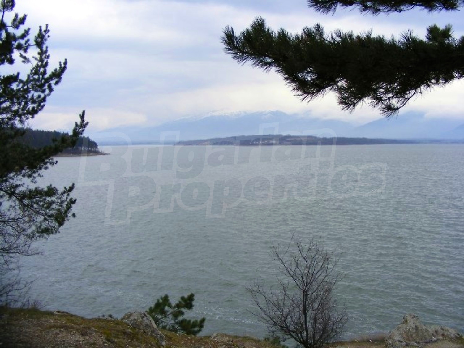 Gallery Picture 39